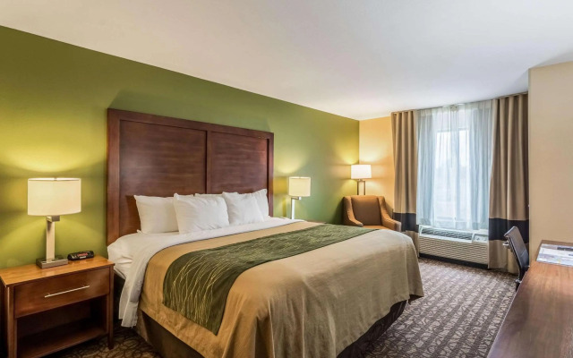 Comfort Inn & Suites Panama City North