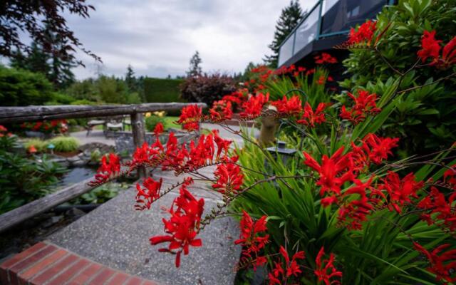 Olympic View Cottage