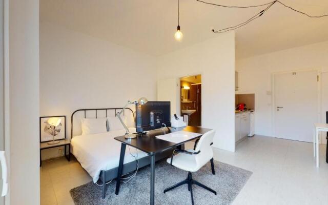 Modern studios in Lausanne