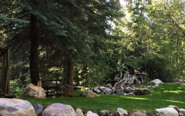 Treehouse by the Stream