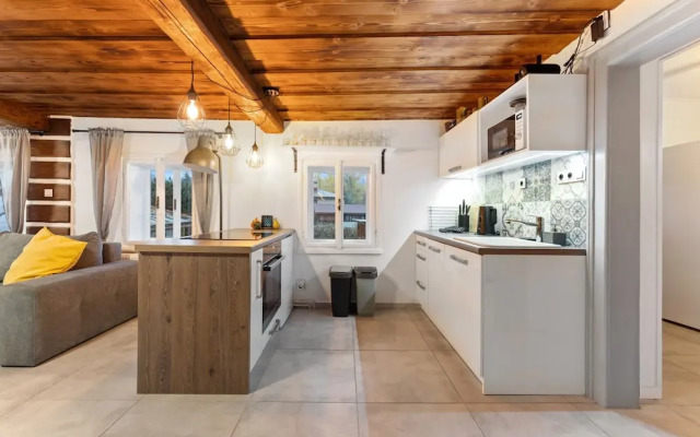 Villa in Dolni Branna Near Cross-country ski