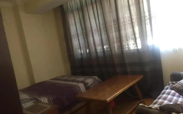 new house