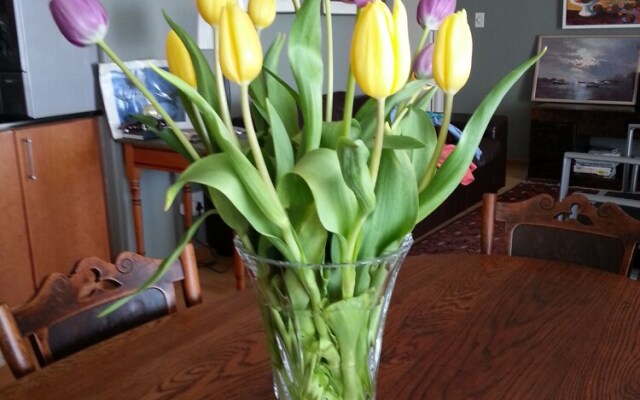 Leisure Bay Apartments