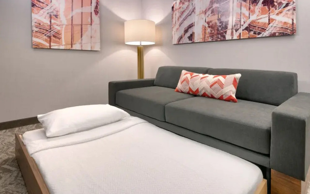 Springhill Suites By Marriott Grand Island