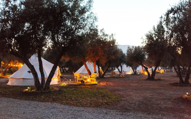 Guadalupe Valle Glamping