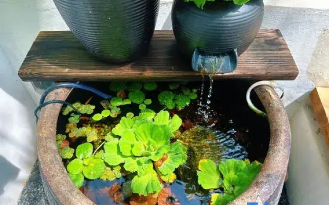 Feeling Relaxed Garden Hotel