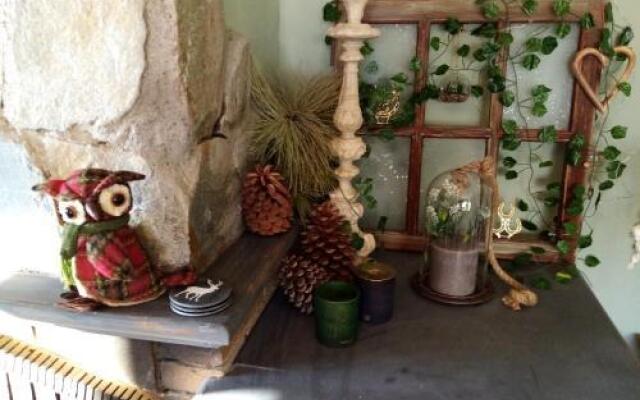 Ziggy's Mountain Retreat