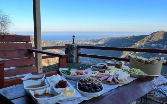 Fora Suit Bungalov