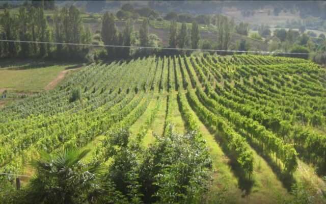 Vigna della Ripa