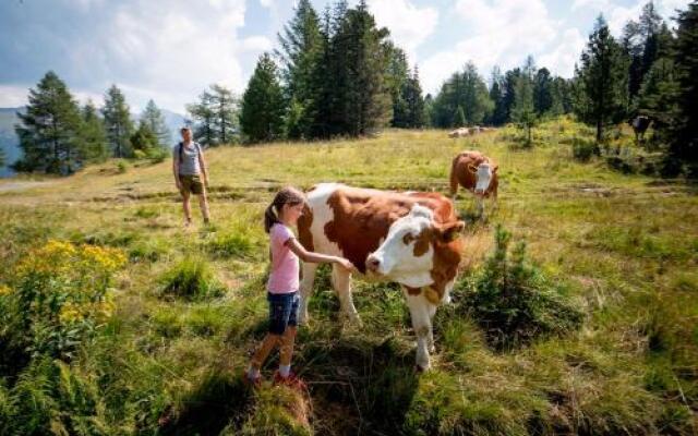 Panoramawohnung Bauernhof Mandl