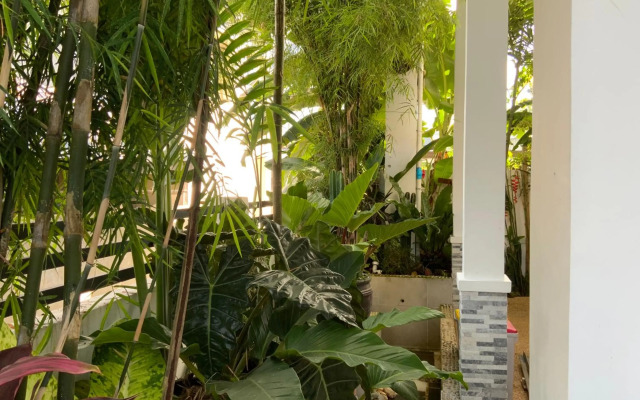 Puntakana Apartelle Cosy Apartment Panglao