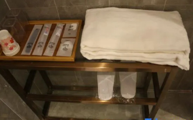 Poshtel (Canton Tower Consulate)