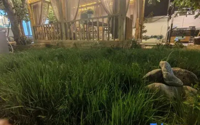 Suyi Courtyard Homestay in Tekes