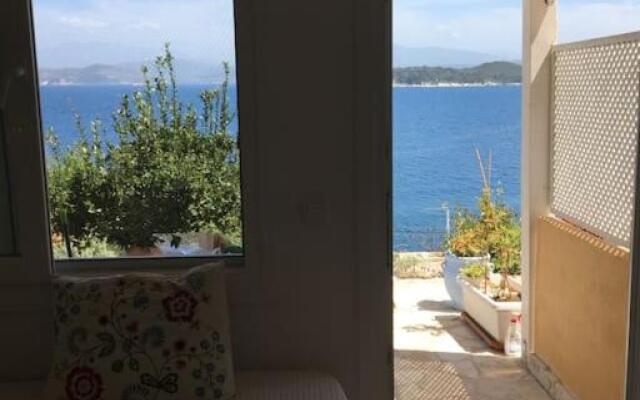 see the sea1