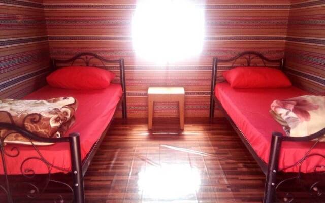 Alamer Hostel Camp