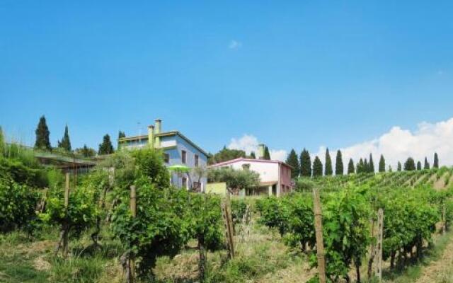 Conte Francesco I 230S