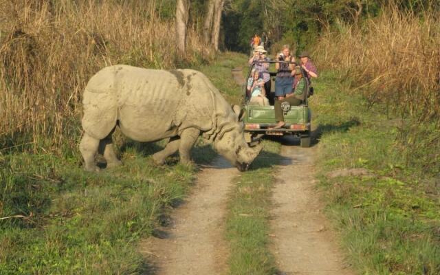 Rhino Land Jungle Lodge