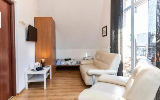 Brzoza w centrum Zakopanego