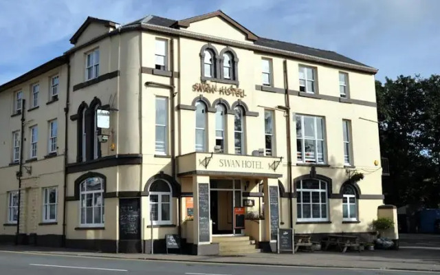 The Swan