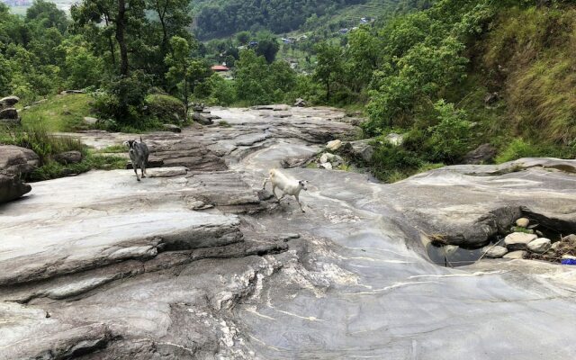 Indreni organic farm and homestay - Hostel