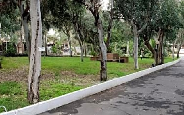 Cucaracha Bungalow
