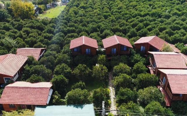 Bahçe Villa