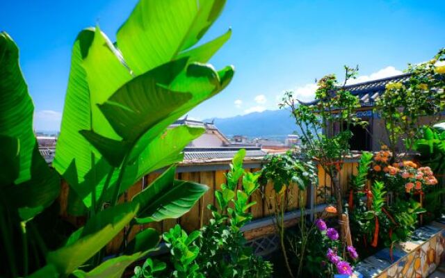 Sweet August Designer Garden Holiday Meisu (Dali Bohai Branch)