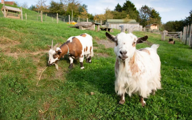 Upper Vobster Farm