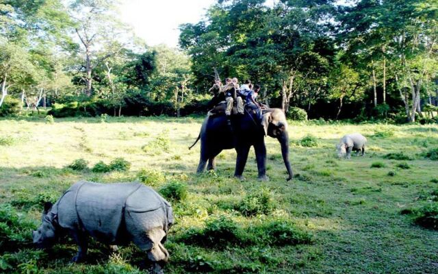 Safari Wildlife Lodge & Camp