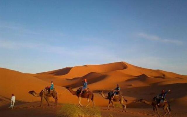 Sahara Camels Camp