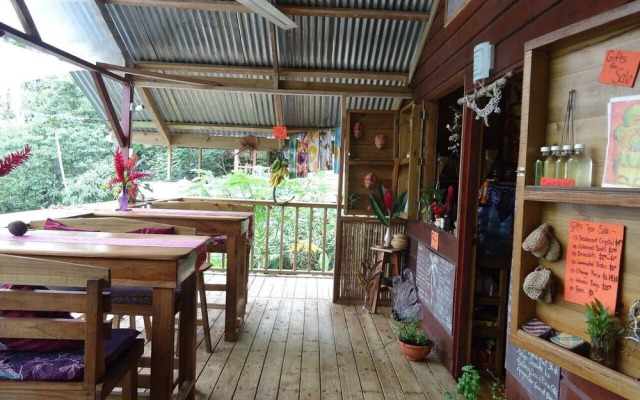 Coco Hill