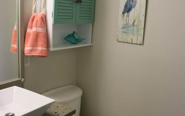 Sand Dollar by Surfside VR