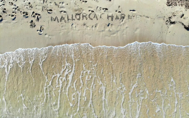 Son Rossignol finca Llubi 193