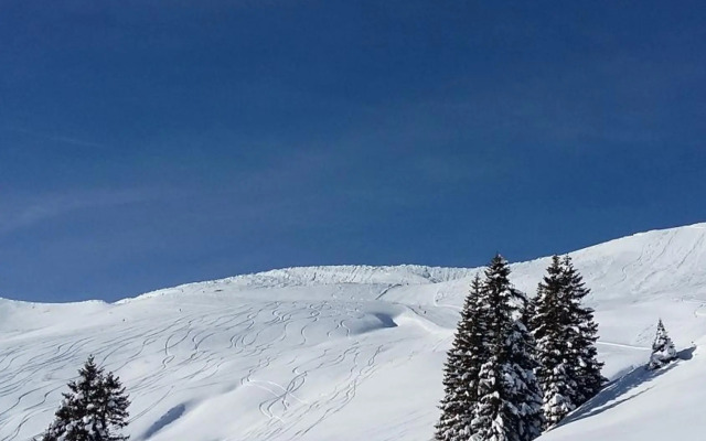 Appartement Hausberger