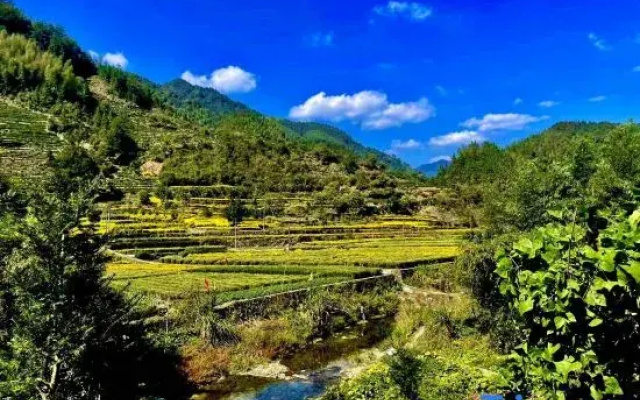 Daoban Weijia YouLanLi Homestay (Tangkou Branch)