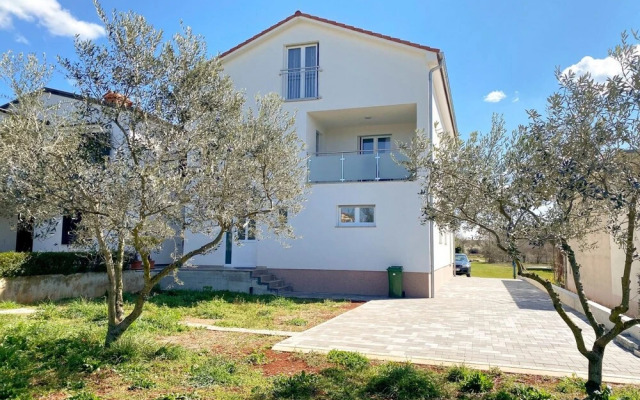 Sofia A4 Dole in Novigrad