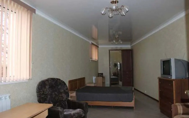 Mirnaya12