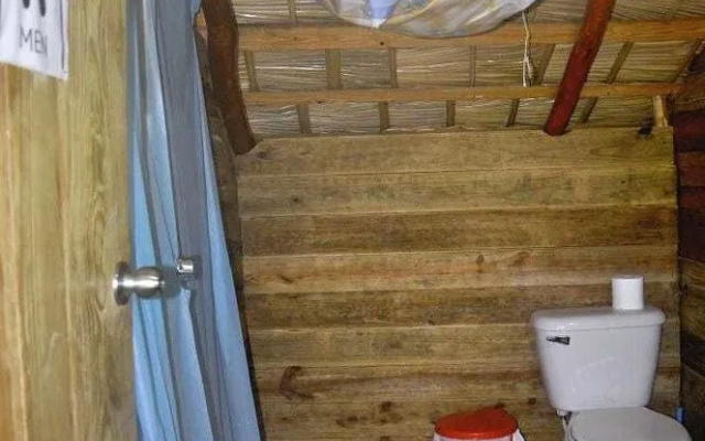 Hostel La Ballena Backpacker