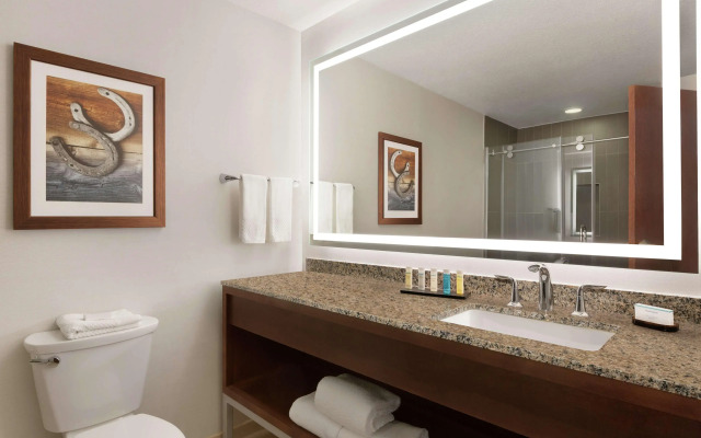 Embassy Suites by Hilton Dallas DFW Airport North