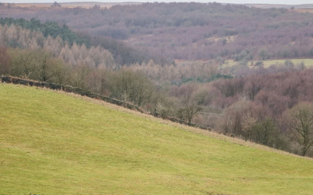 The Old Robin Hood