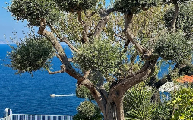 Hotel Villa Lubrense