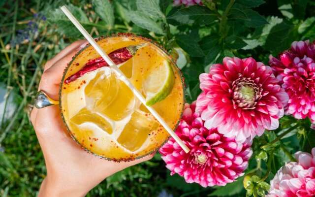 Casa Lavanda Butik Hotel