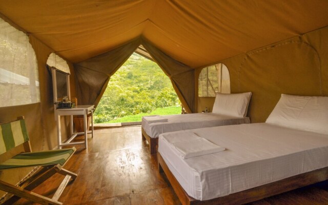 Wild Glamping Knuckles