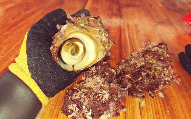 Jeju Nandere Log Pension