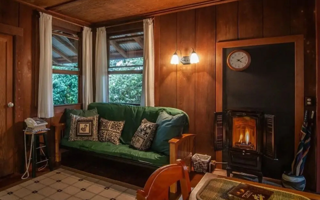 Crater Rim Cabin - Guesthouse in فولكانو - Photo 2