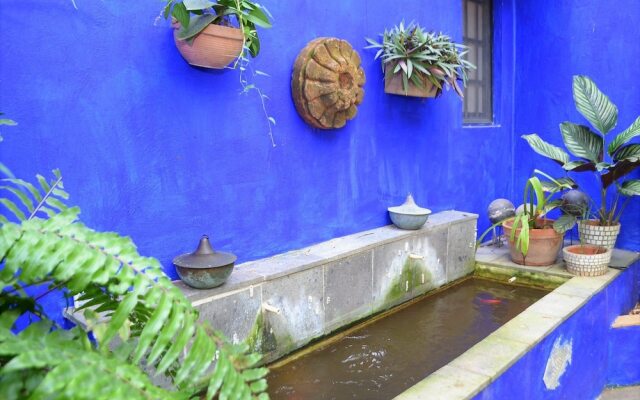 Casa Azul by MDR