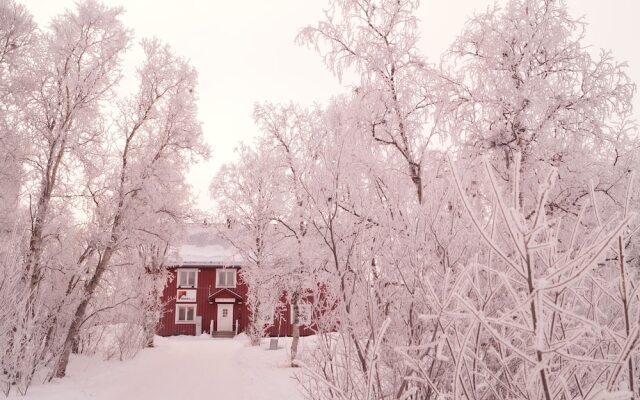 Abisko Fjälltur