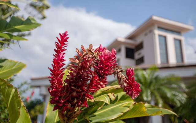 Maui Coast Hotel