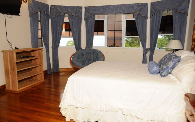 Hillside Ocean View Villa