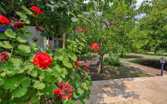 Three Islands Bungalow